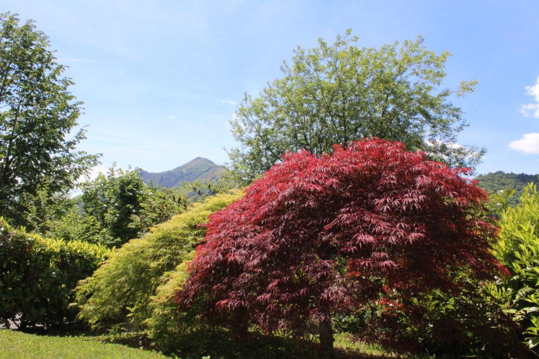 Photo of Outdoor in Serina