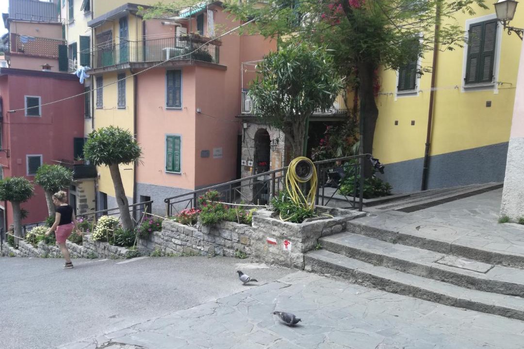 Photo of Others in Riomaggiore