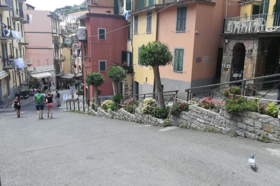 Photo of Others in Riomaggiore