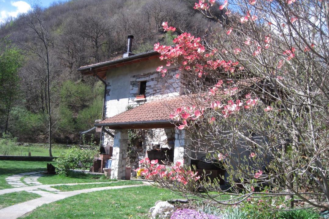 Photo of Others in San Maurizio d'Opaglio