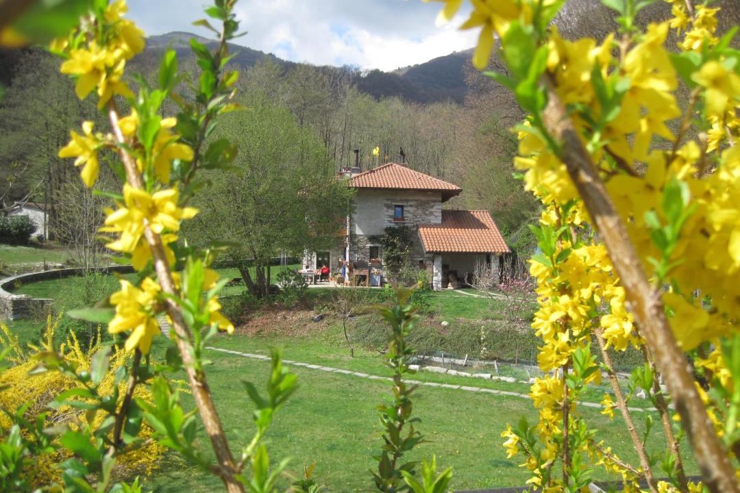 Photo of Others in San Maurizio d'Opaglio