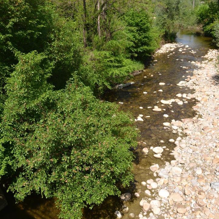 Photo of Others in Mondovi