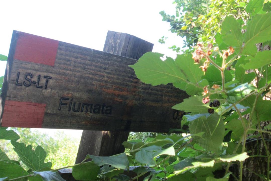 Photo of Others in Fiumata