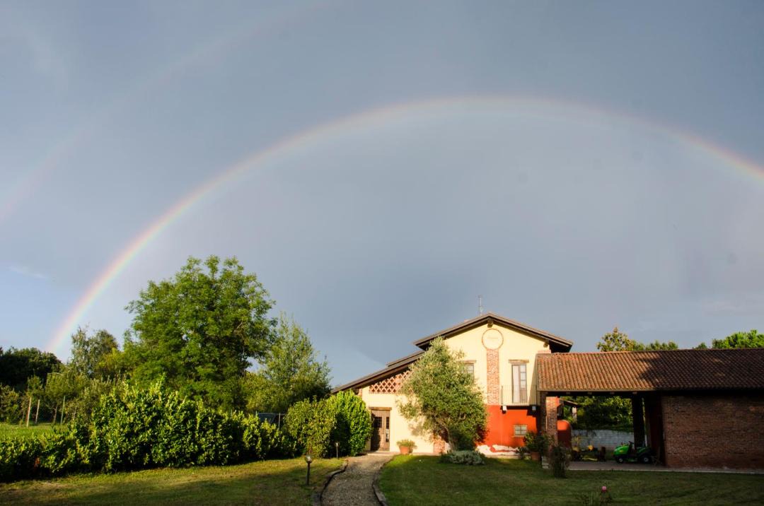 Photo of Others in Cossato