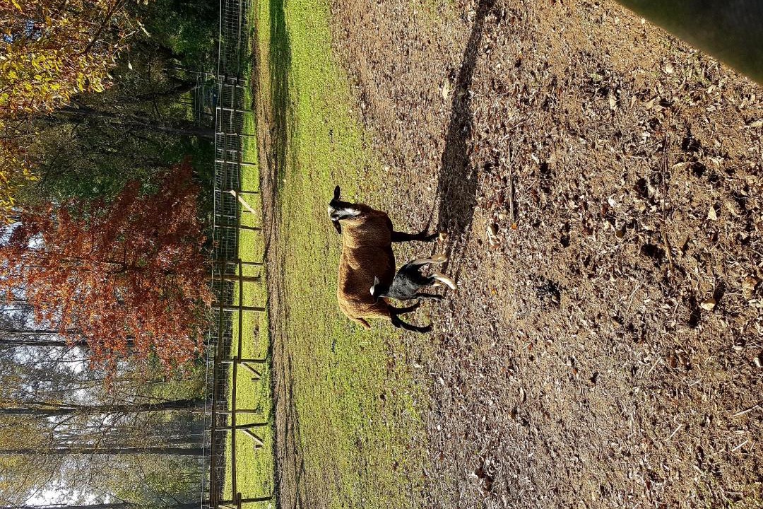 Photo of Outdoor in Monguzzo