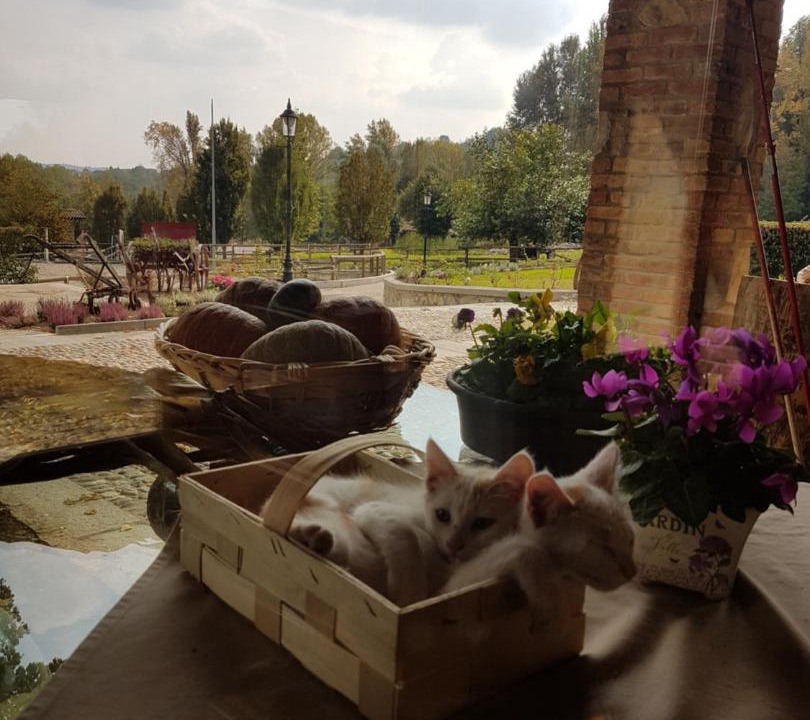 Photo of Others in Monguzzo