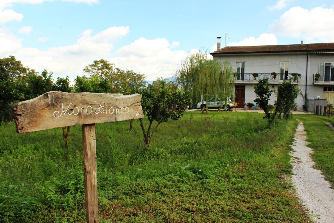 Photo of Others in Teano