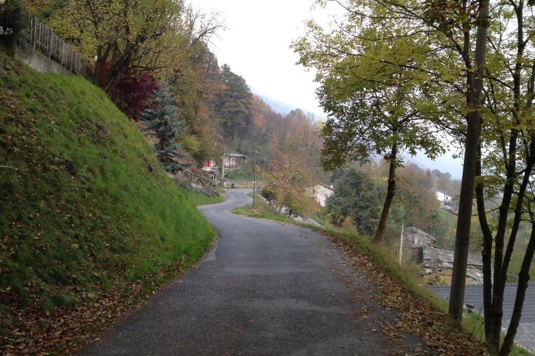 Photo of Others in Frassino