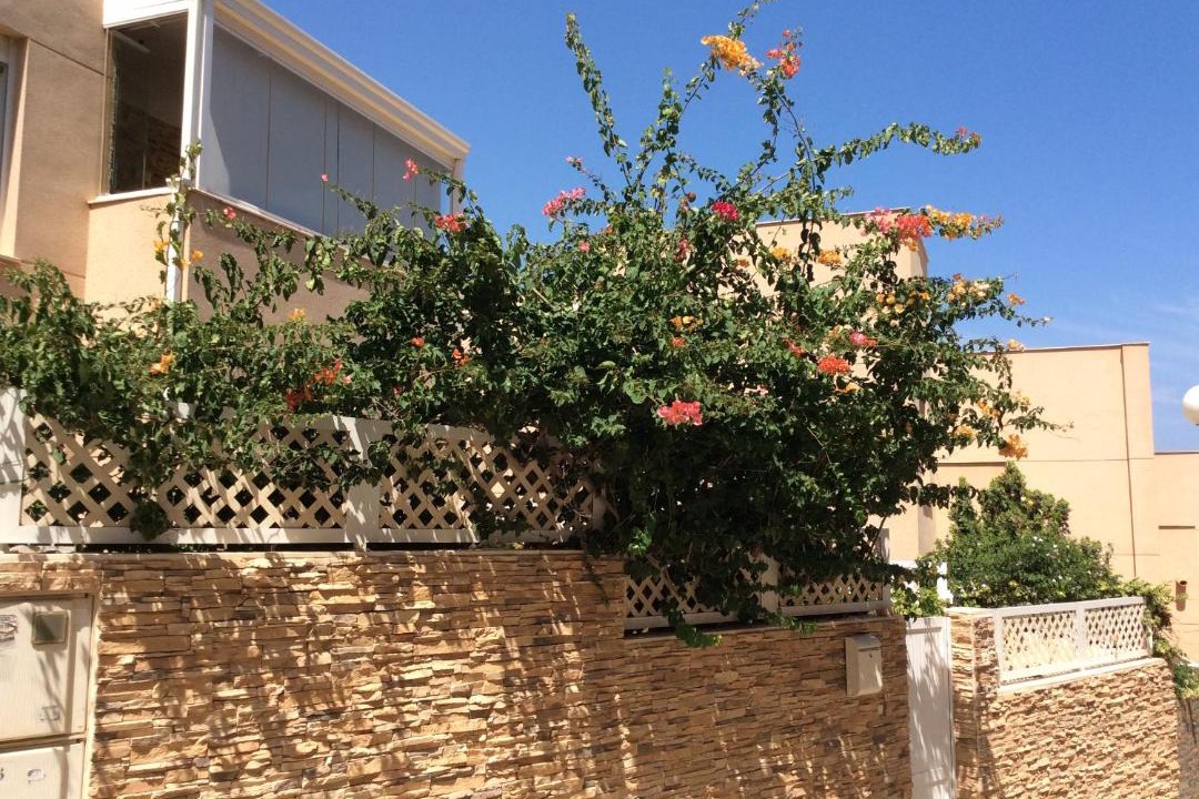 Photo of Others in Cabo de Palos