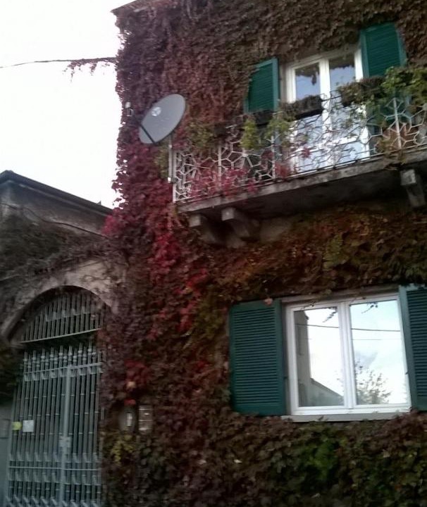 Photo of Others in Pusiano