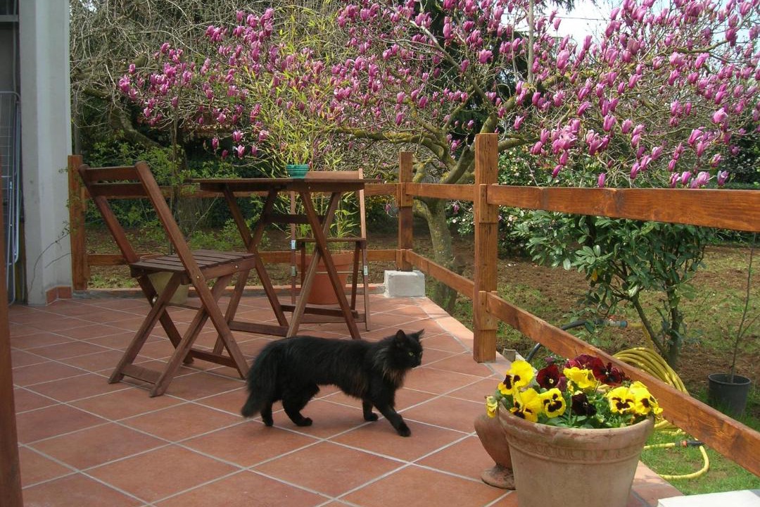 Photo of Patio Balcony in Zagarolo
