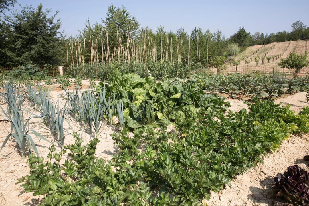 Photo of Outdoor in Altavilla Monferrato