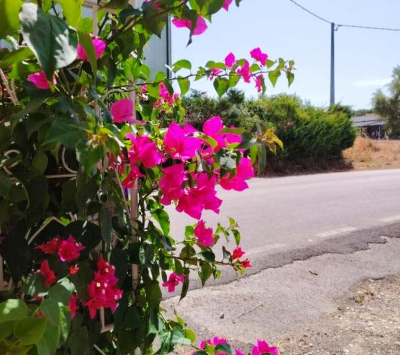 Photo of Outdoor in Spoltore