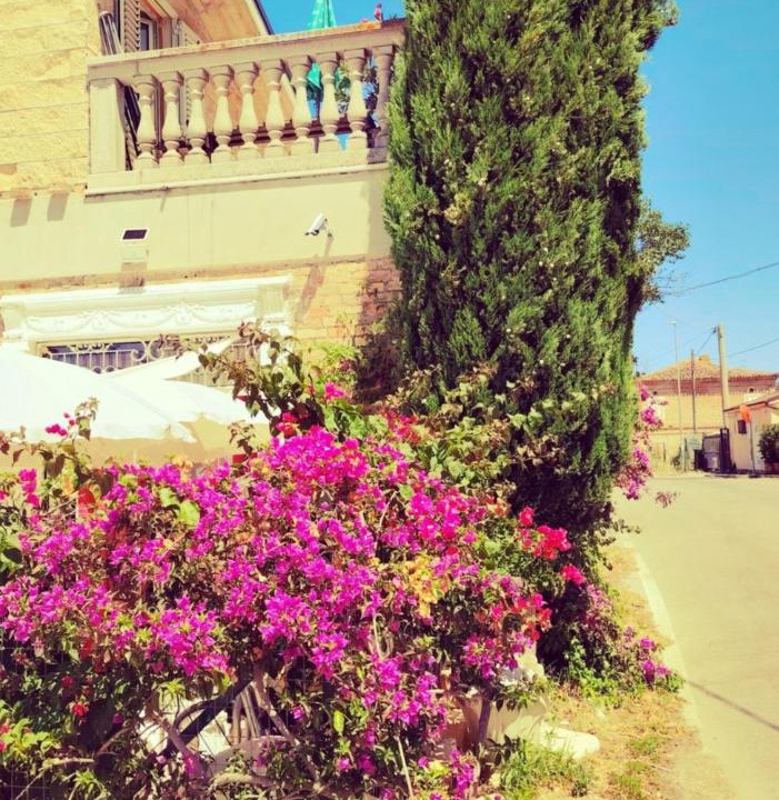 Photo of Others in Spoltore