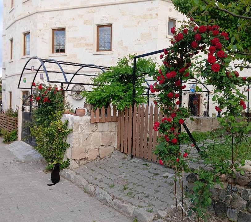 Photo of Others in Mustafapasa