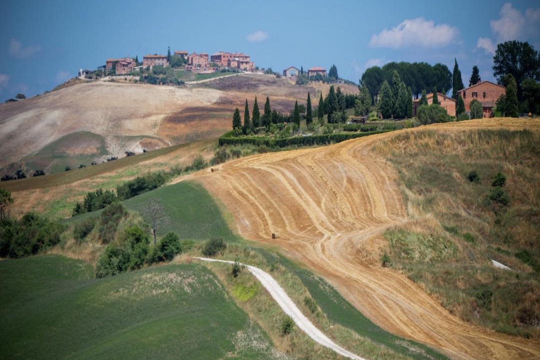 Photo of Others in Sovicille
