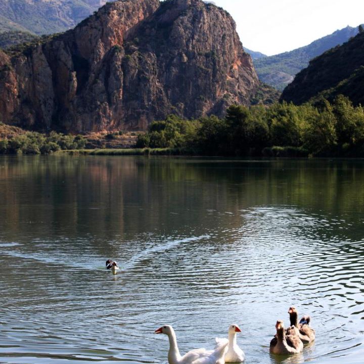 Photo of Others in Sant Llorenc de Montgai