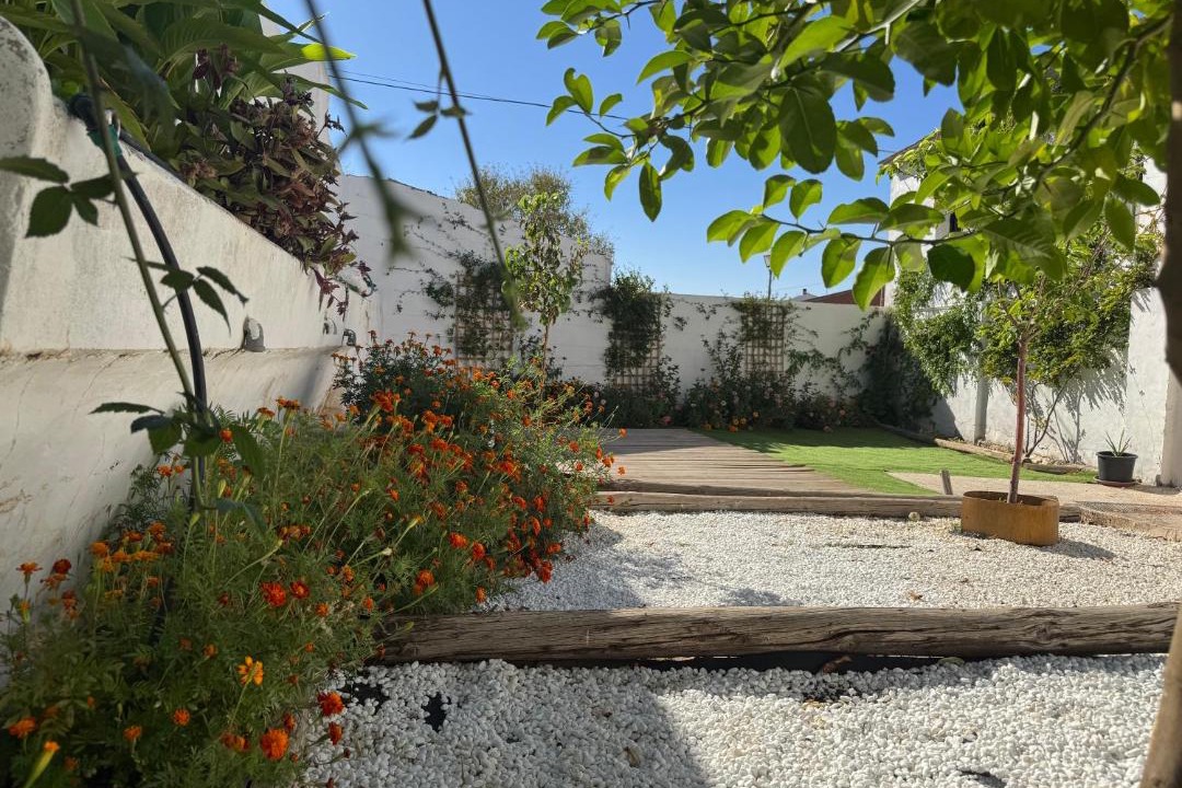 Photo of Others in Cabanas de la Sagra