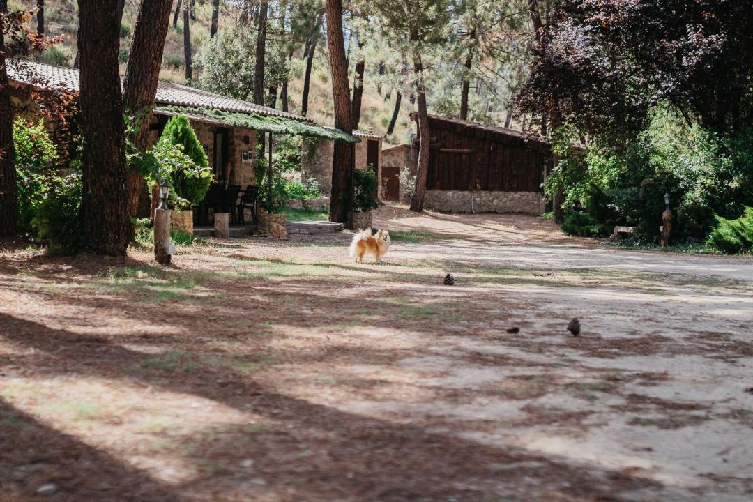 Photo of Others in Riopar