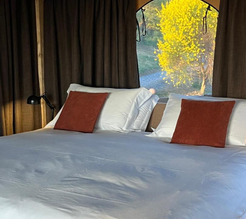 Photo of Bedroom in Scansano