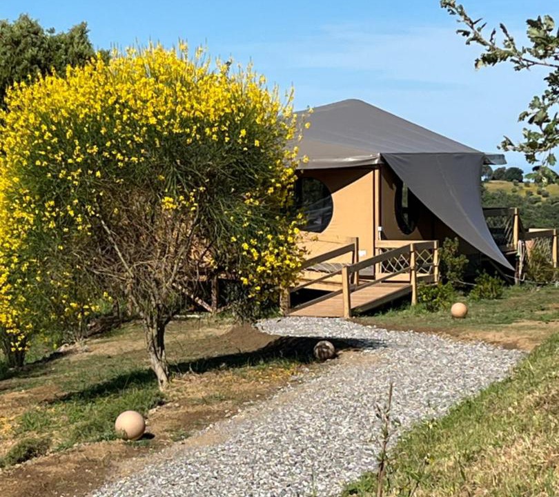 Photo of Outdoor in Scansano