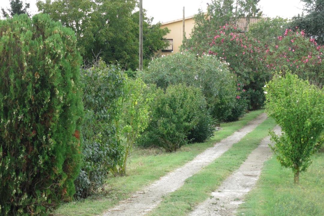 Photo of Outdoor in Viterbo