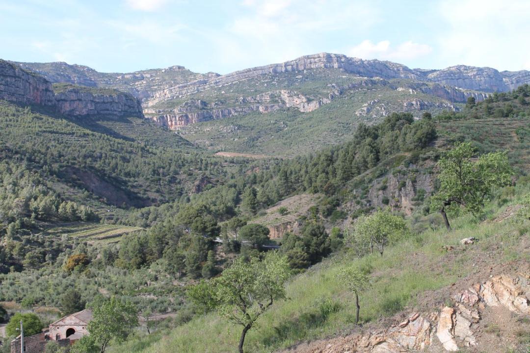 Photo of Outdoor in La Vilella Alta