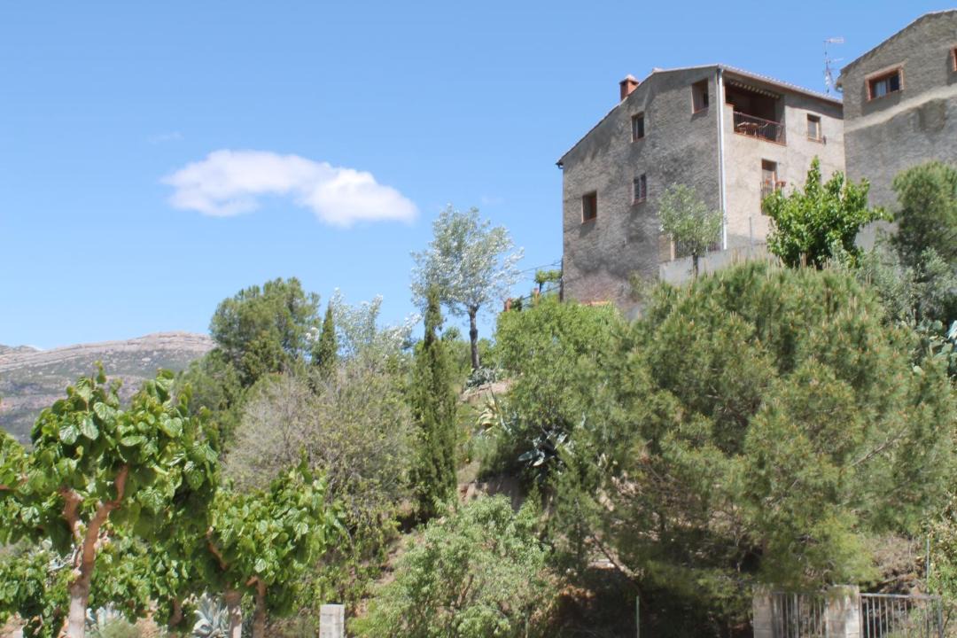 Photo of Buildings in La Vilella Alta