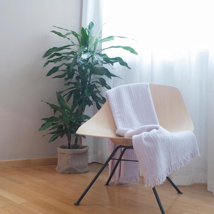 Photo of Livingroom in Lecce