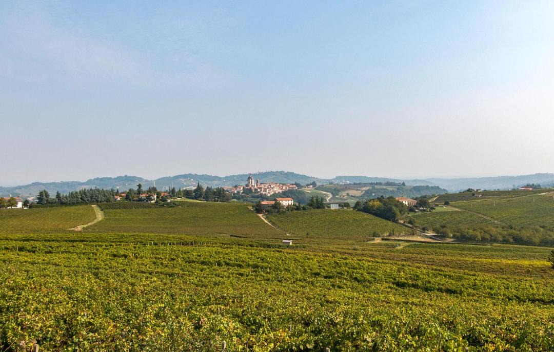 Photo of Others in Castagnole Monferrato