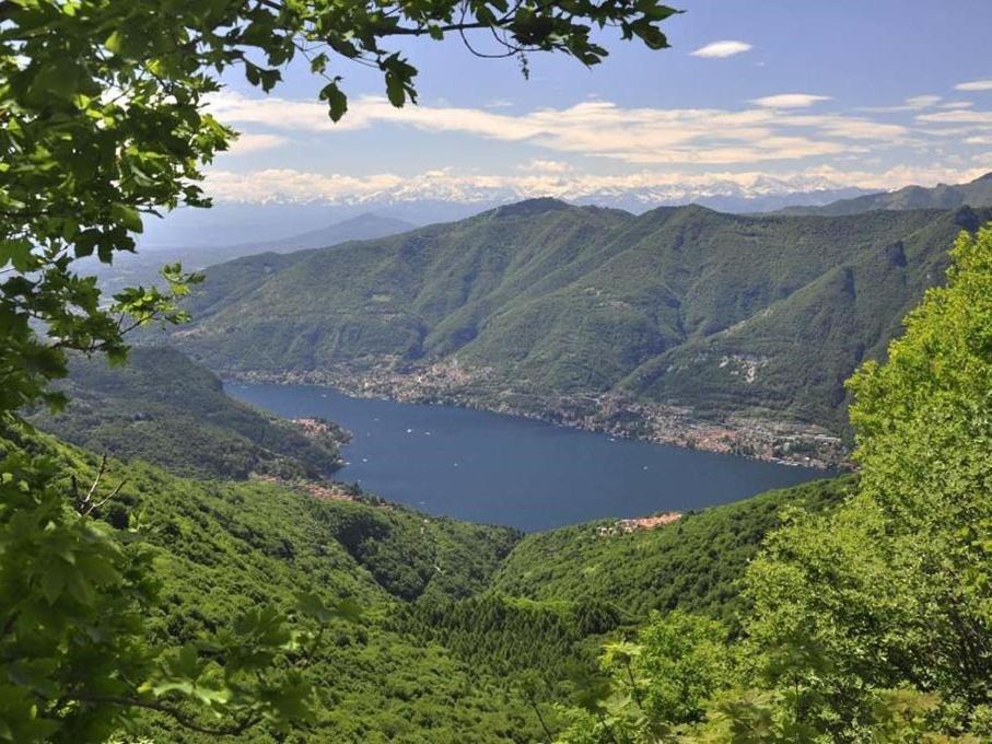 Photo of Others in Palanzo