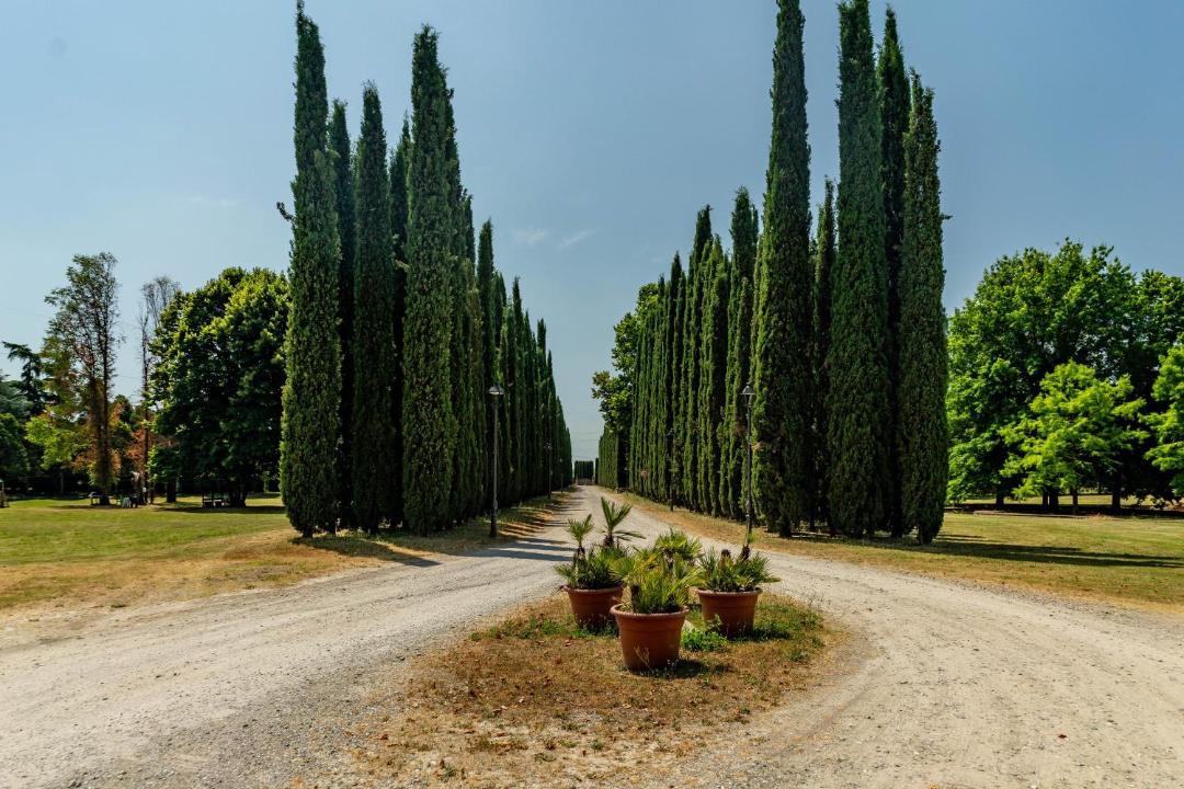 Photo of Others in Brugherio