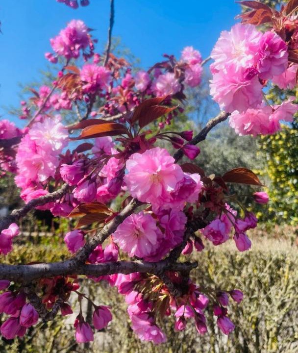 Photo of Outdoor in Gozzano