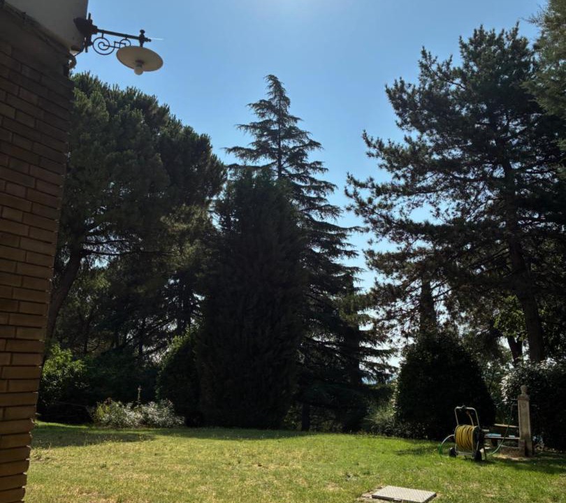 Photo of Others in San Lazzaro di Savena
