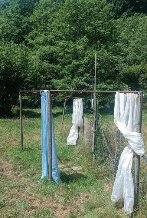 Photo of Others in Brovello-Carpugnino
