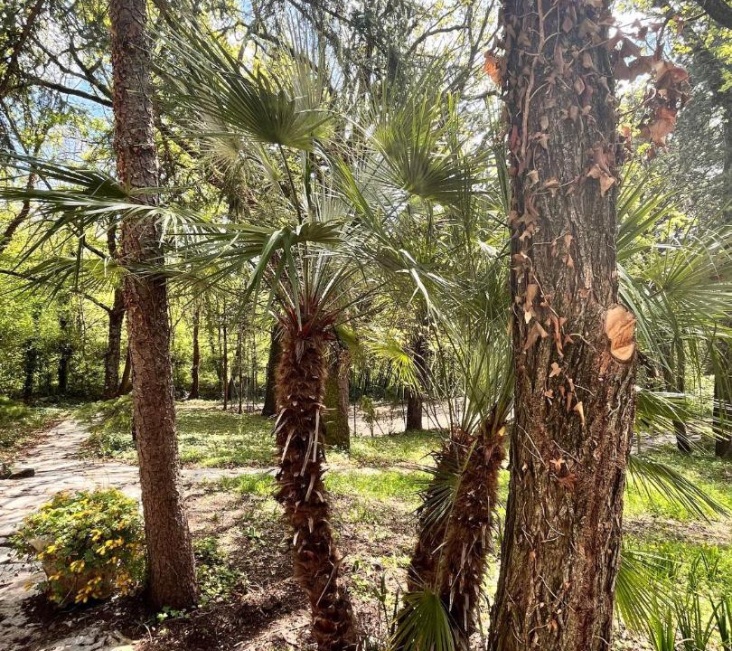 Photo of Outdoor in Vinchiaturo