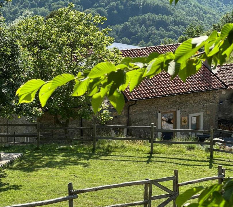 Photo of Others in Garessio