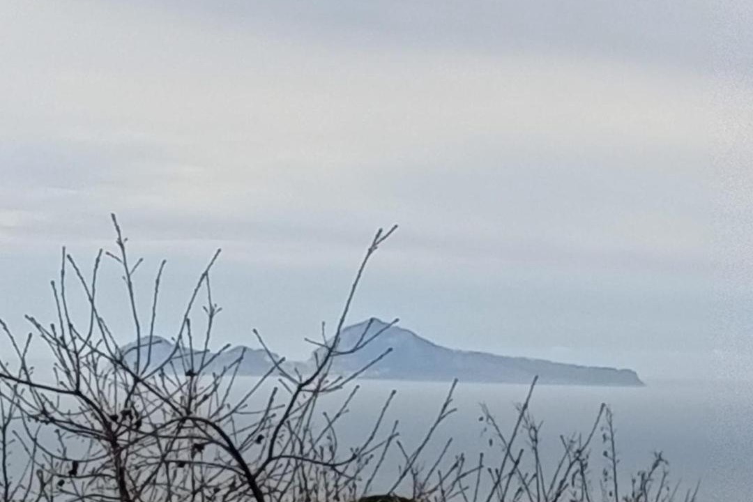 Photo of Others in Trecase
