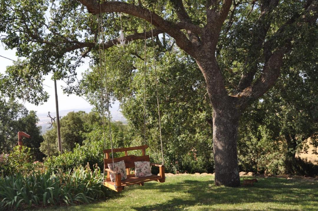 Photo of Outdoor in Scansano