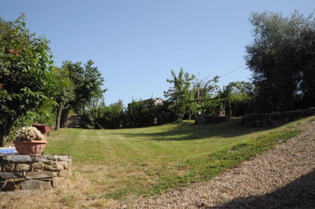 Photo of Others in Scansano