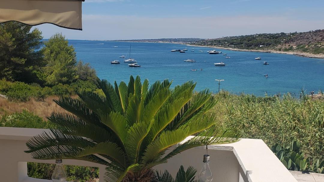 Photo of Others in Marina San Gregorio