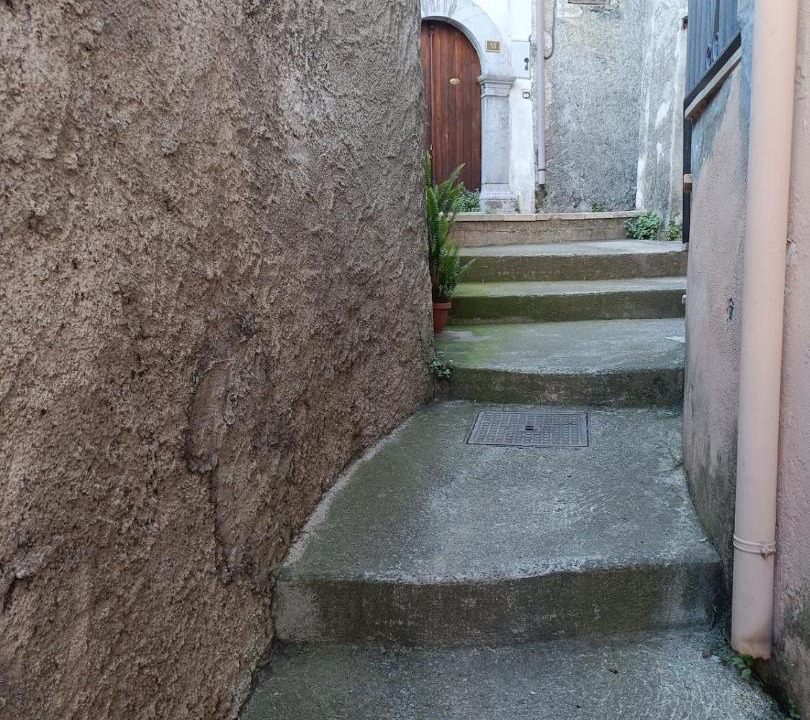 Photo of Others in Tortora