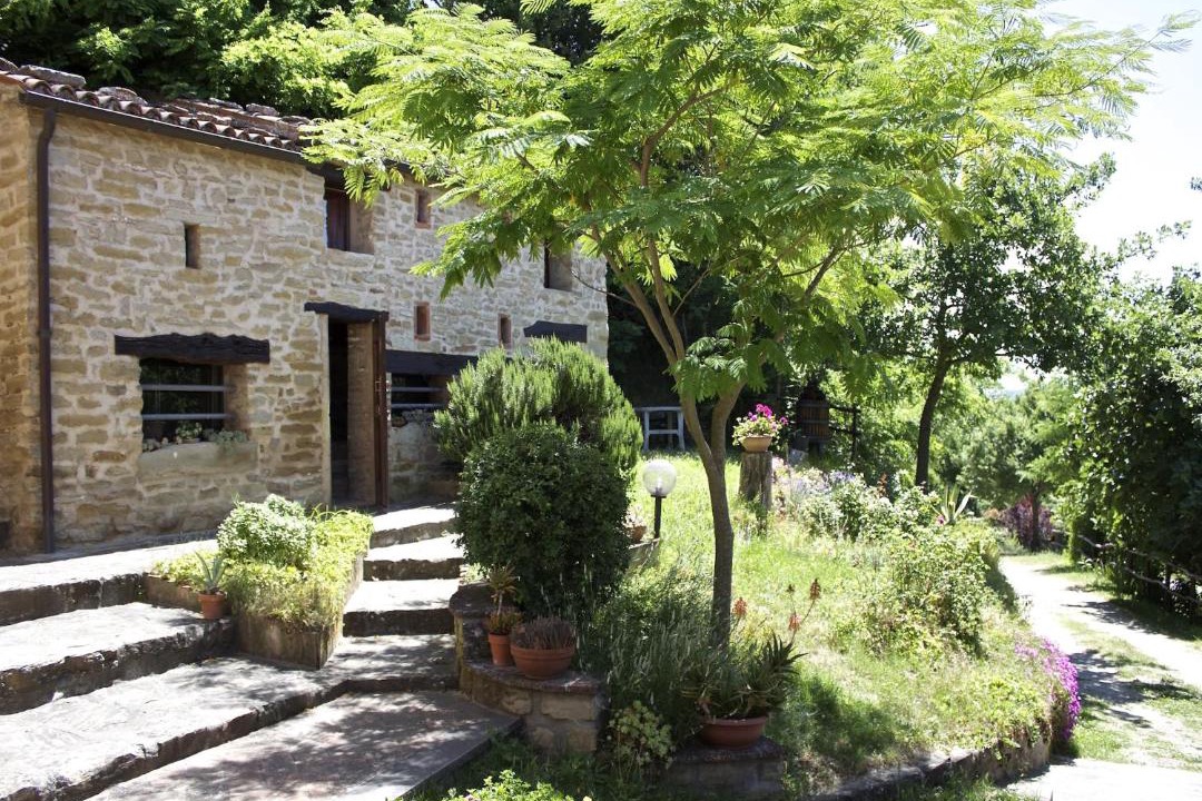 Photo of Others in Casalfiumanese