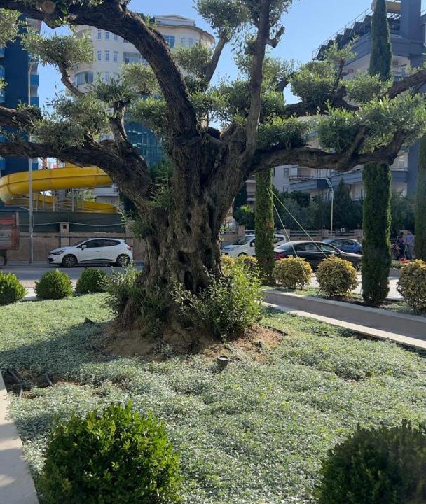 Photo of Outdoor in Tosmur Belediyesi
