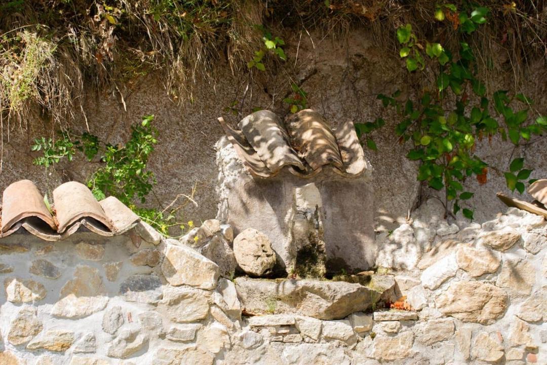 Photo of Others in Spezzano della Sila