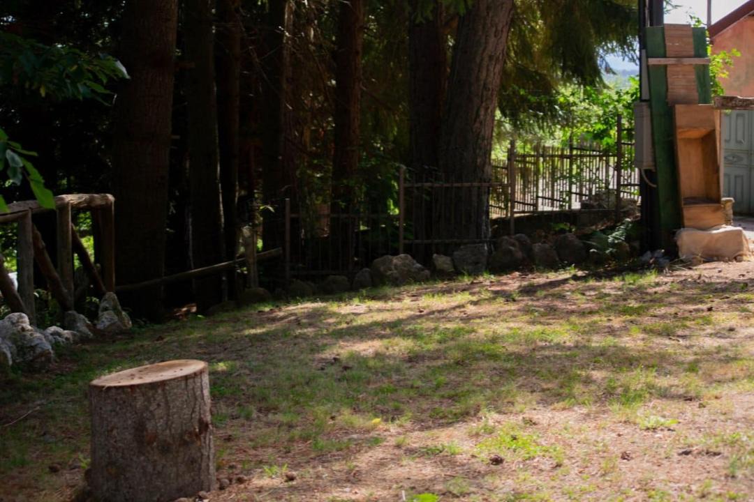 Photo of Others in Spezzano della Sila
