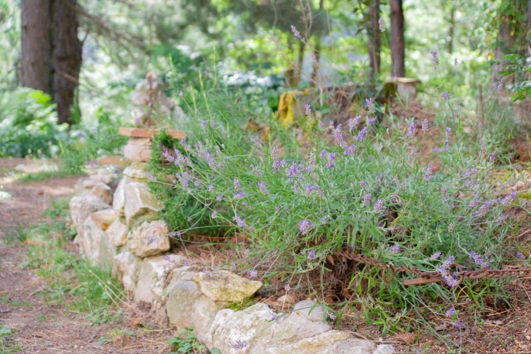 Photo of Outdoor in Spezzano della Sila