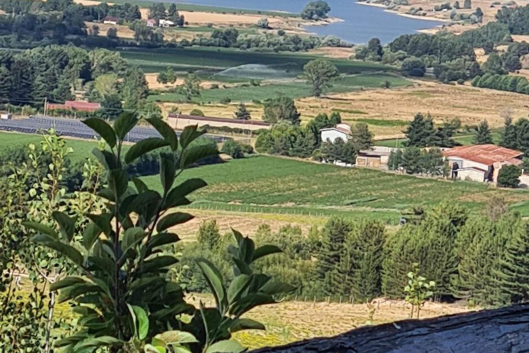 Photo of Others in Spezzano della Sila
