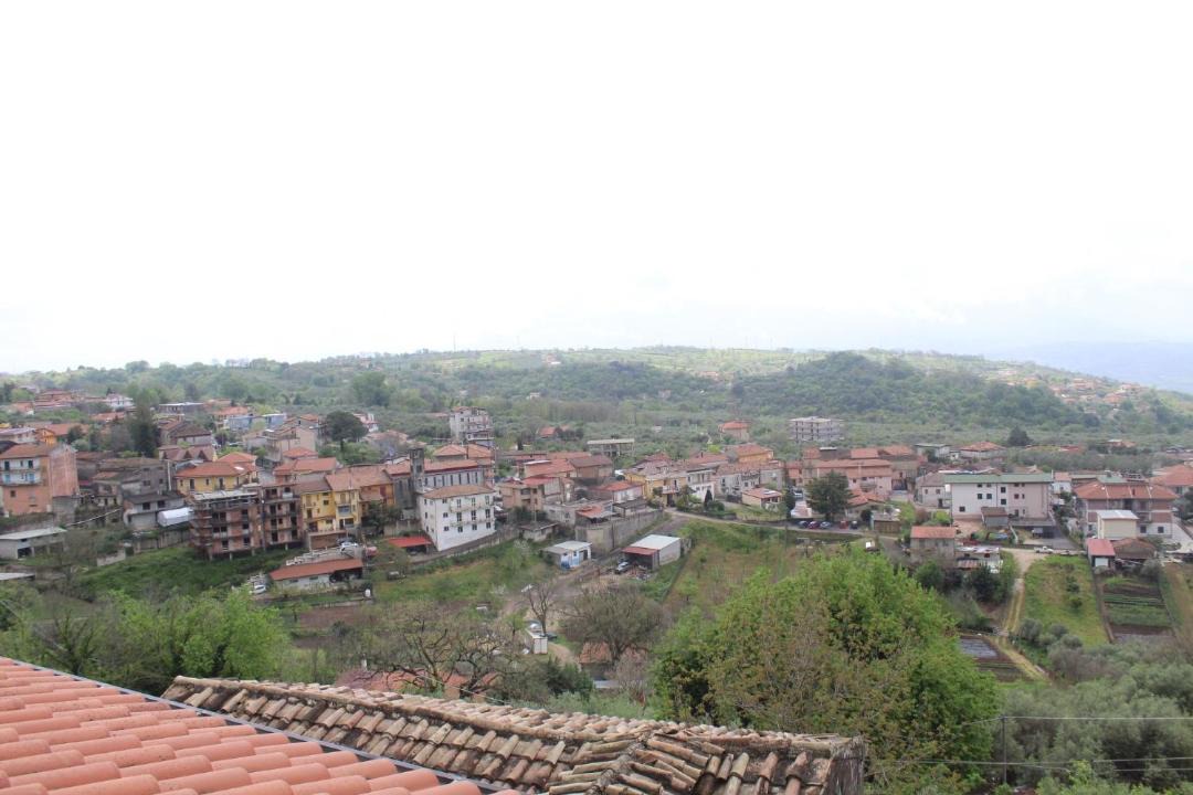 Photo of Others in Campagna