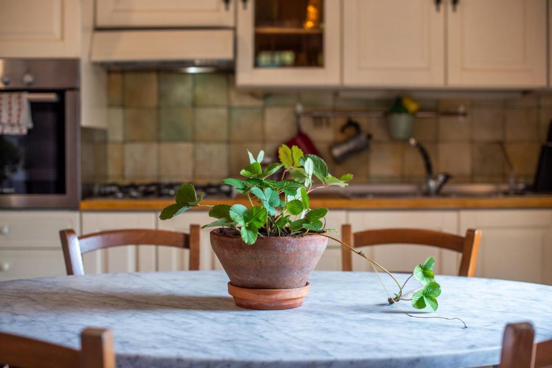 Photo of Kitchen in Chiusdino